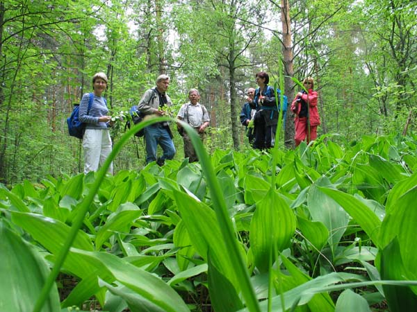 KuparsaariRetki051